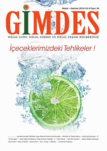 GIMDES_DERGI36_062014_001