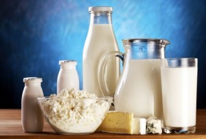 dairy
