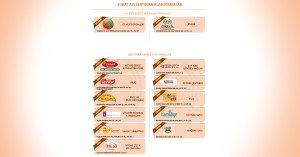 subat-sertifika-alan-firmalar