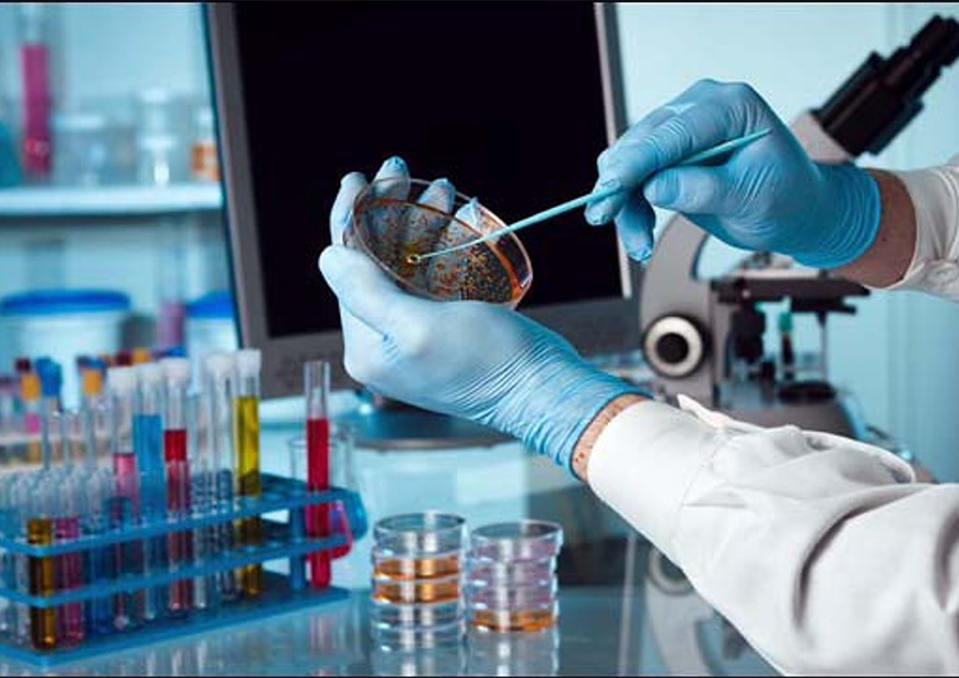 GİMDES Laboratuar Analizlerinde Ekim – Aralık Ayları Raporları