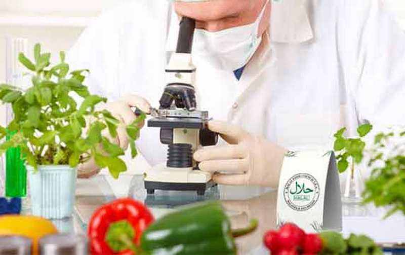GİMDES 2019 AĞUSTOS – EKİM AYI LABORATUVAR ANALİZLERİ RAPORU